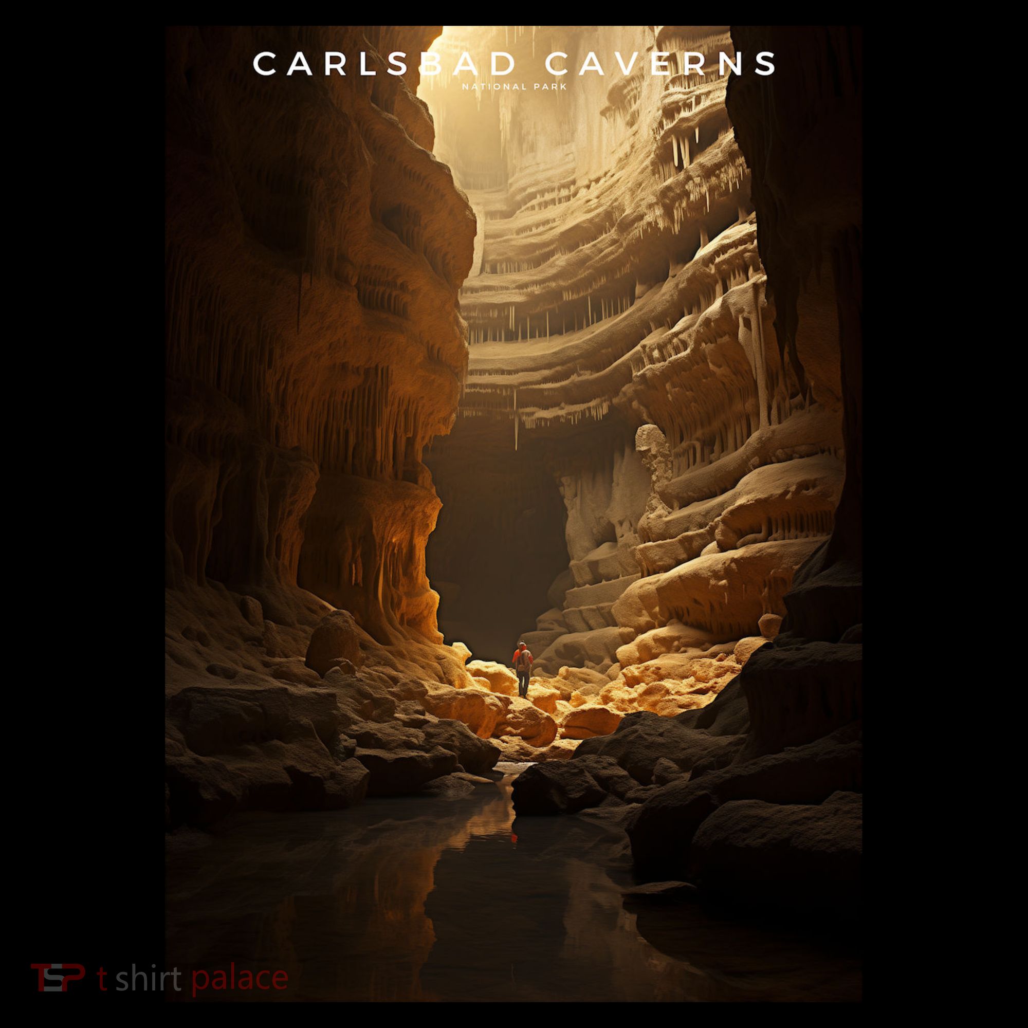 Carlsbad Caverns National Park Coaster