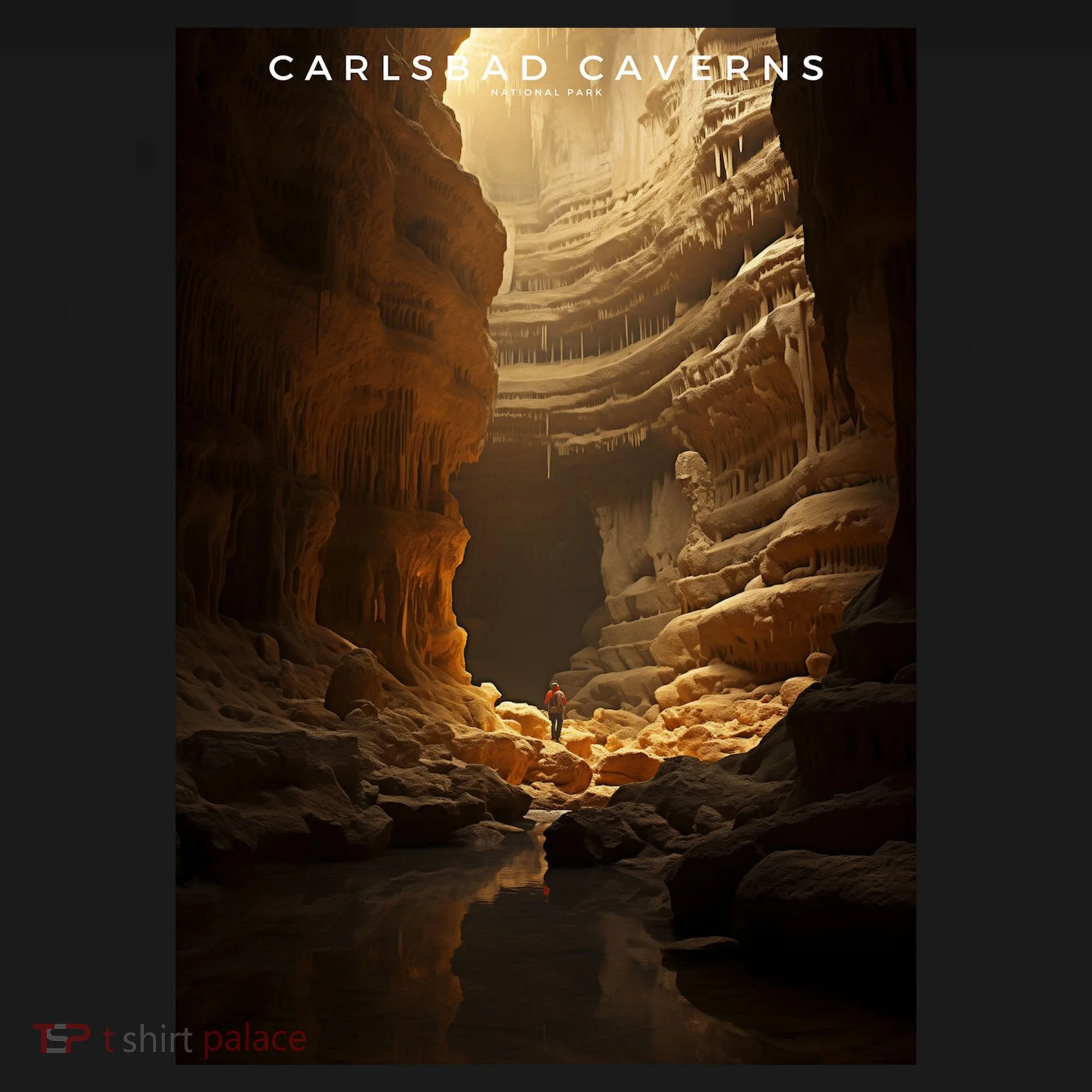 Carlsbad Caverns National Park Coaster