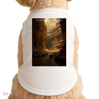 Carlsbad Caverns National Park Doggie Tank