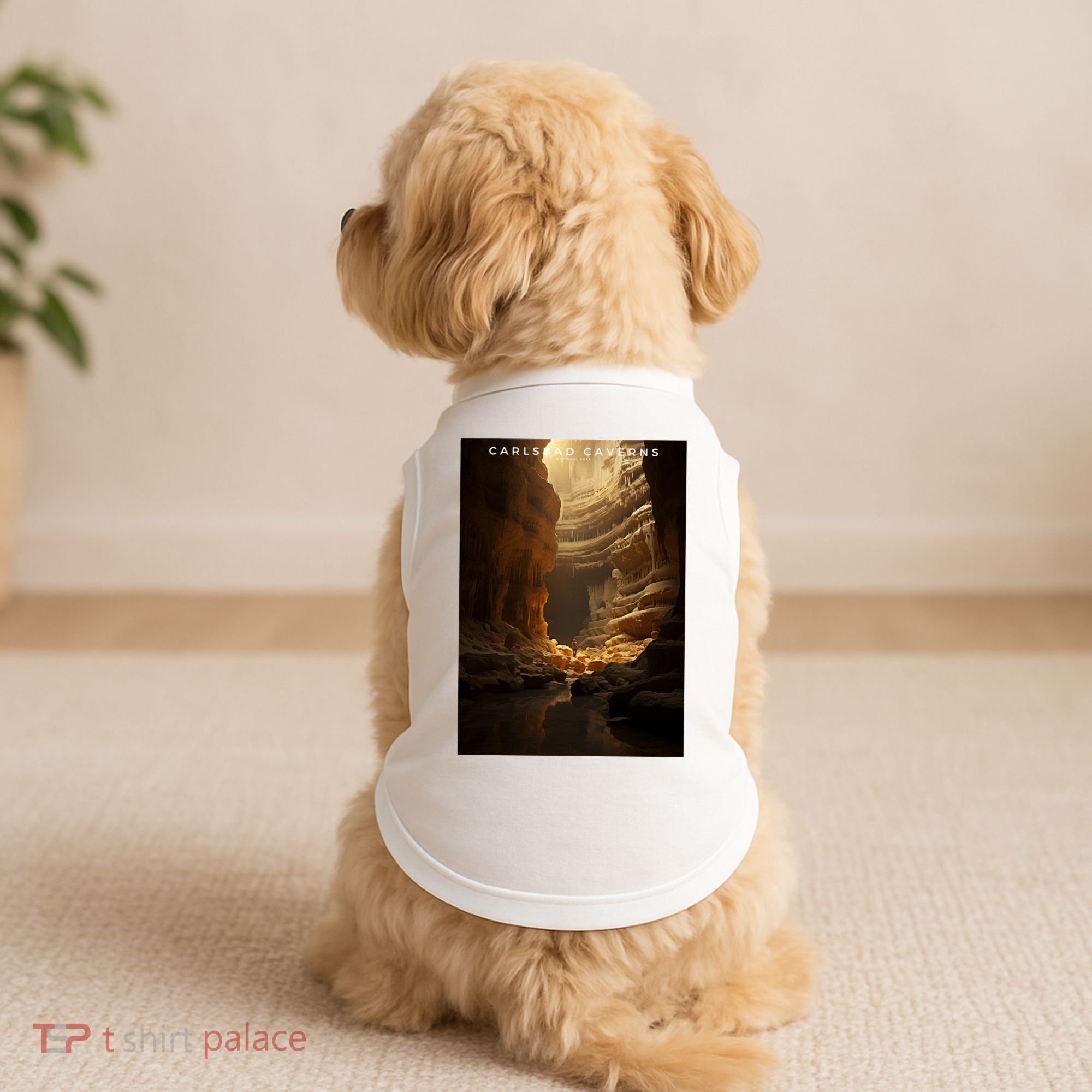 Carlsbad Caverns National Park Doggie Tank