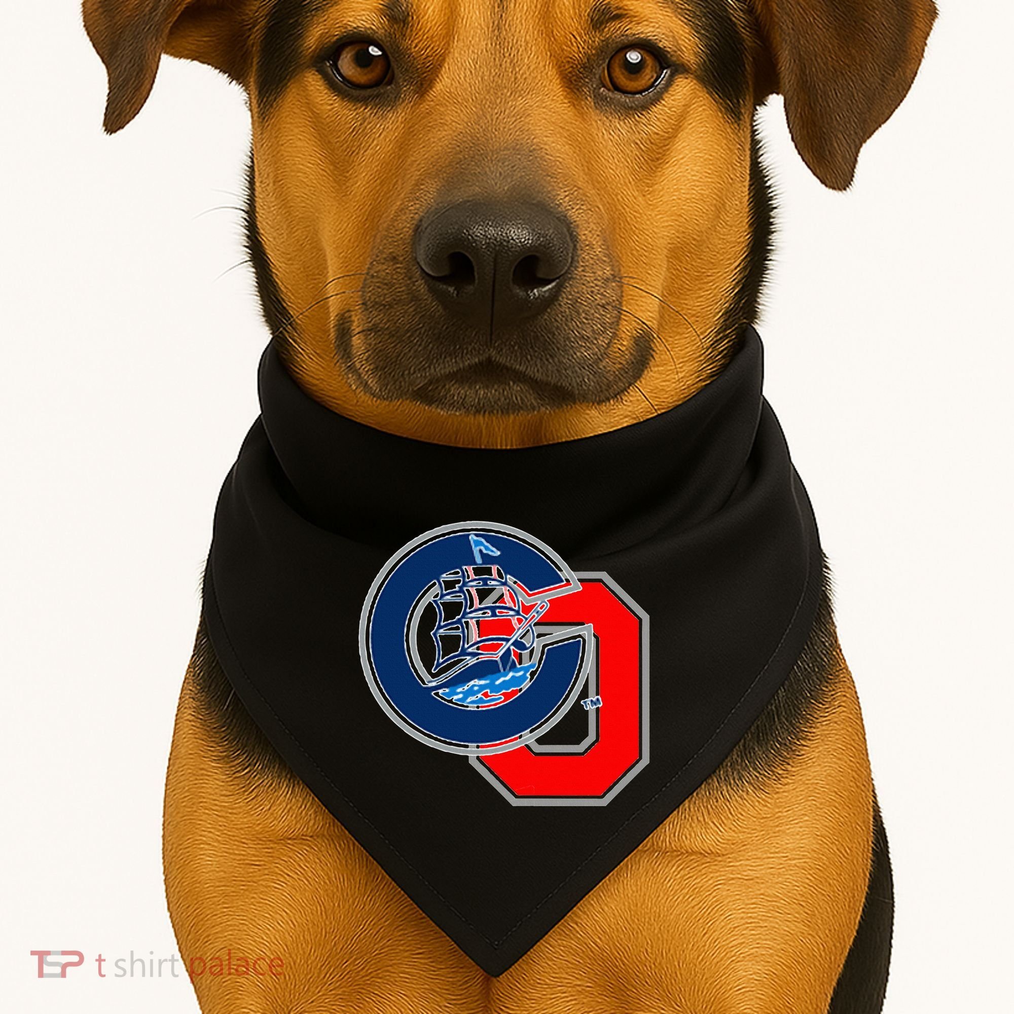 C.O. Columbus Ohio USA-Made Doggie Bandana