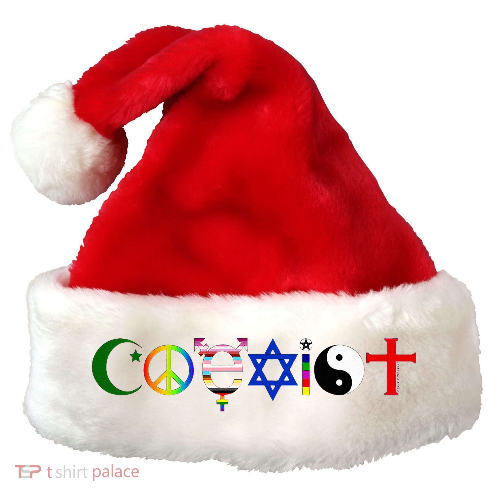 Coexist Santa Hat