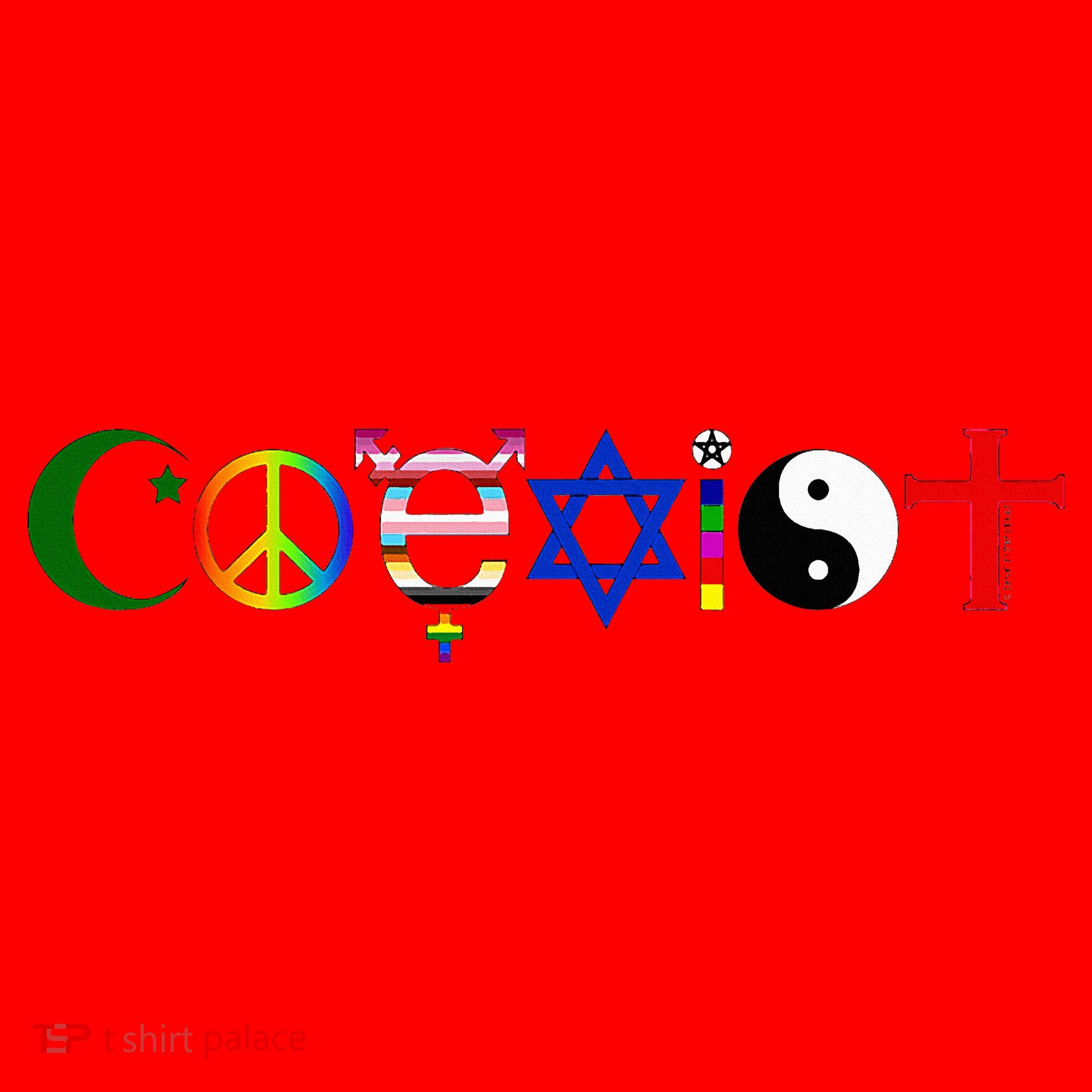 Coexist Santa Hat
