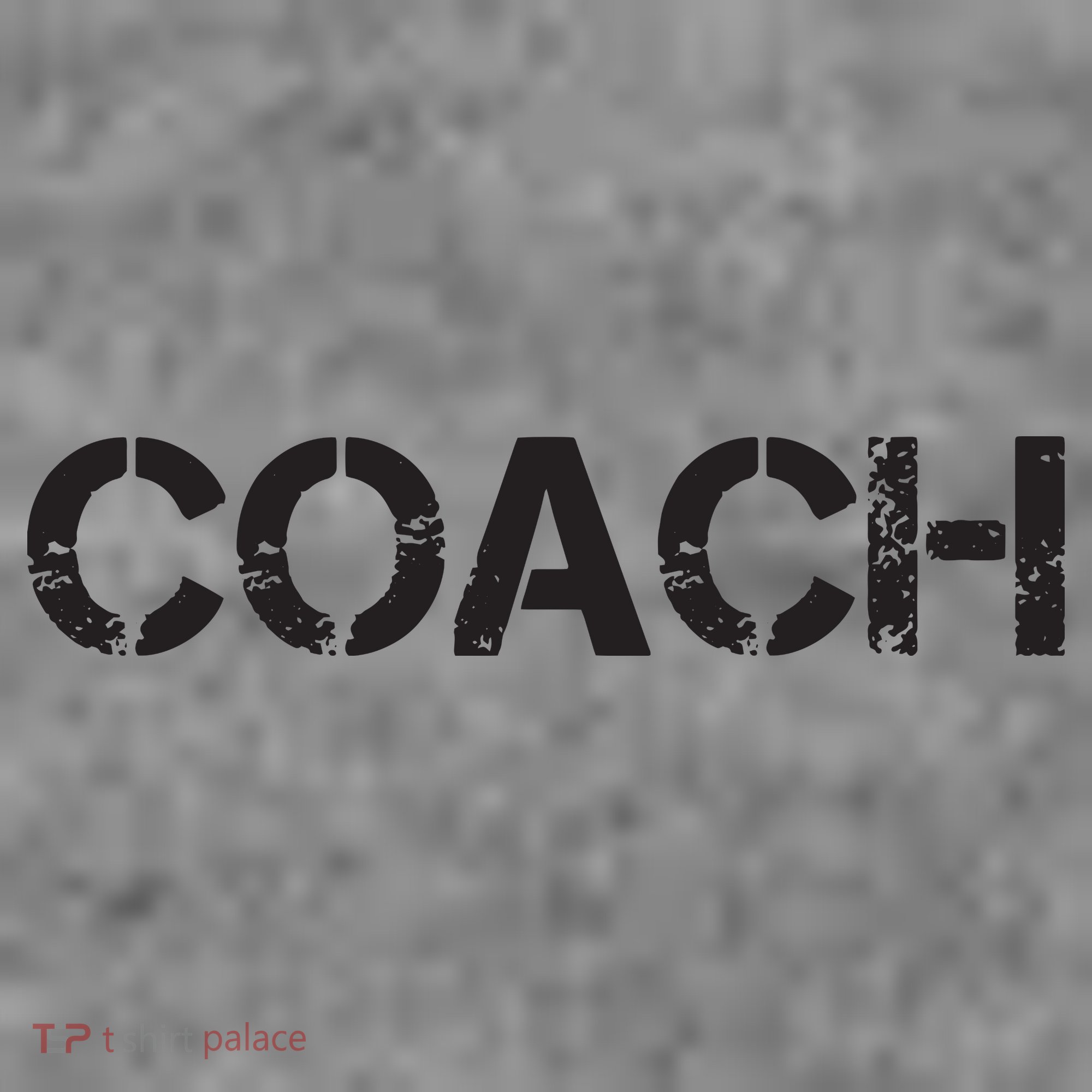 Coach Toddler Hoodie