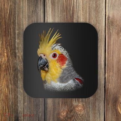 Captivating Cockatiel Portrait Coaster