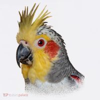 Captivating Cockatiel Portrait Women's Hoodie thumb 2