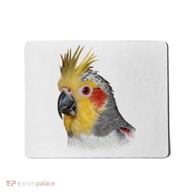 Captivating Cockatiel Portrait Mousepad
