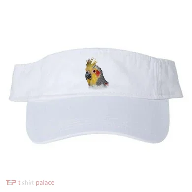 Visor