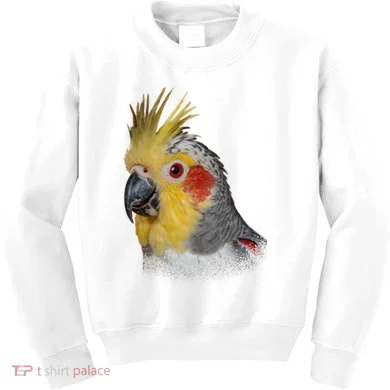Kids Sweatshirt