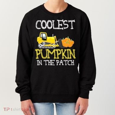 Cutest Coolest Pumpkin In The Patch Halloween Boys Gift Women's Sweatshirt
