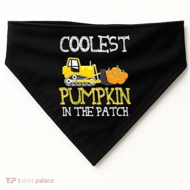 Cutest Coolest Pumpkin In The Patch Halloween Boys Gift USA-Made Doggie Bandana