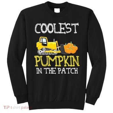 Cutest Coolest Pumpkin In The Patch Halloween Boys Gift Sweatshirt