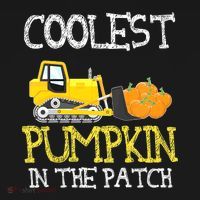 Cutest Coolest Pumpkin In The Patch Halloween Boys Gift Sweatshirt thumb 3