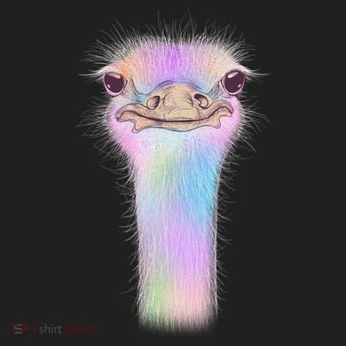 Cute Colorful Pastel Ostrich Comfort Colors Boxy T-Shirt