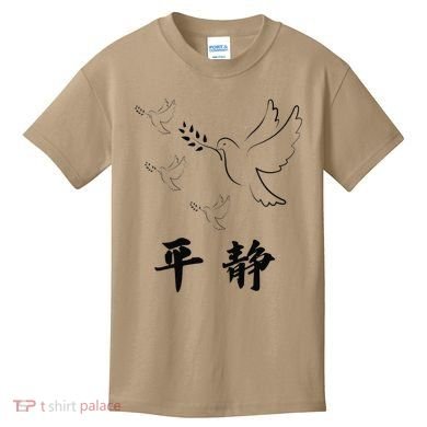 Chinese Characters Ping Jing Peace Kids T-Shirt