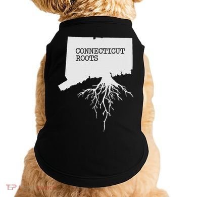 Connecticut Connecticut Roots State Doggie Tank
