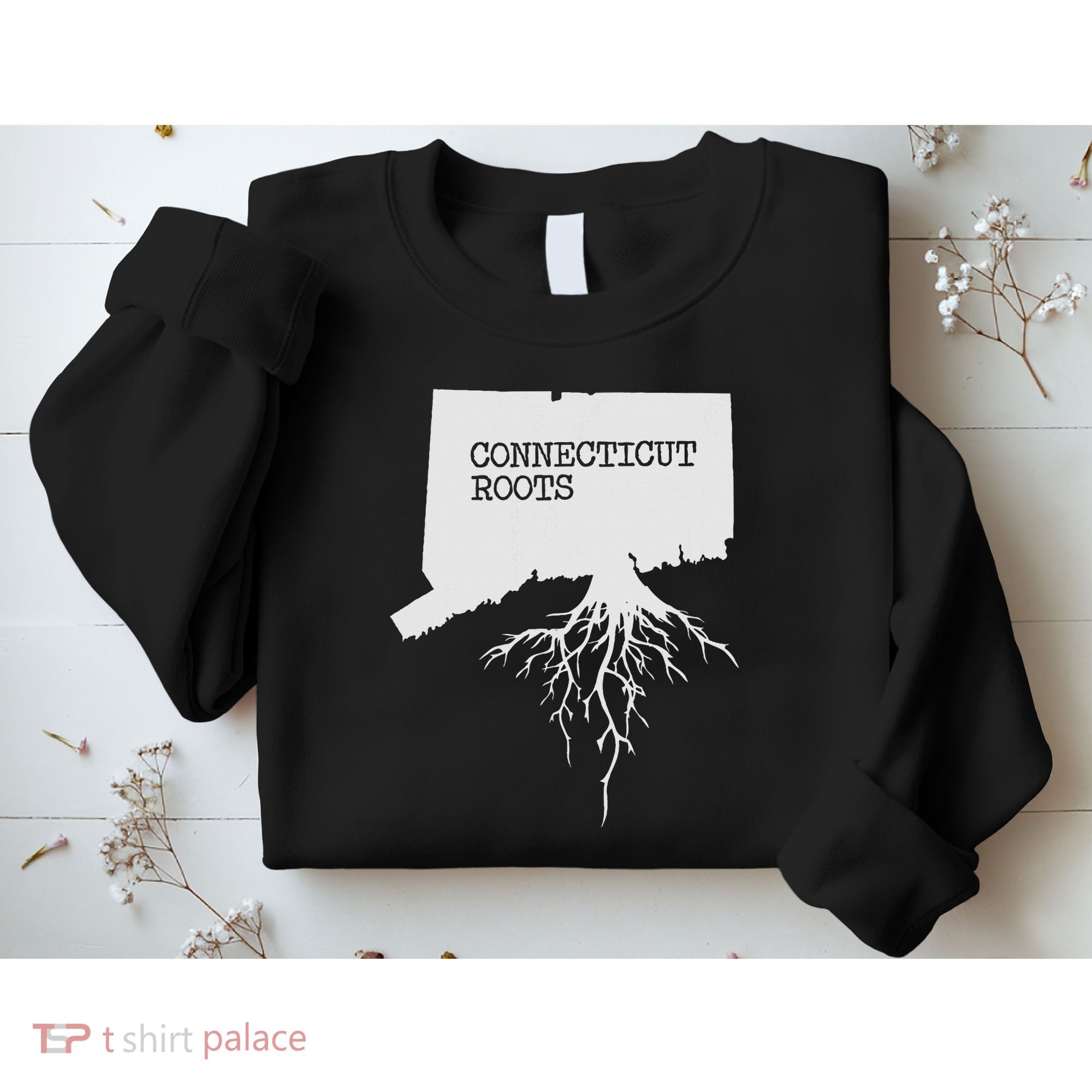 Connecticut Connecticut Roots State Sweatshirt