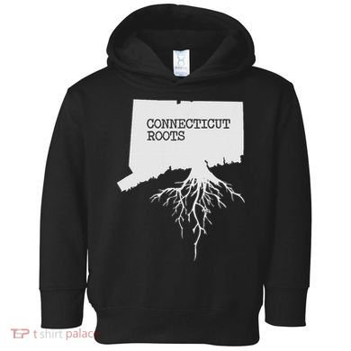 Connecticut Connecticut Roots State Toddler Hoodie