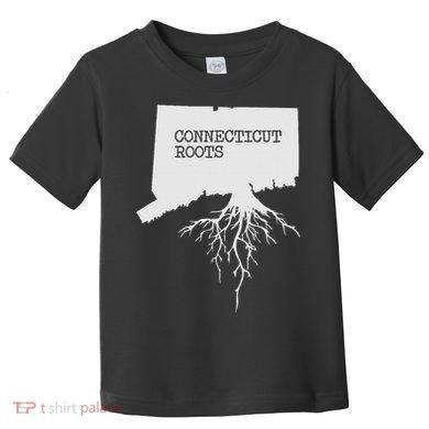 Connecticut Connecticut Roots State Toddler T-Shirt