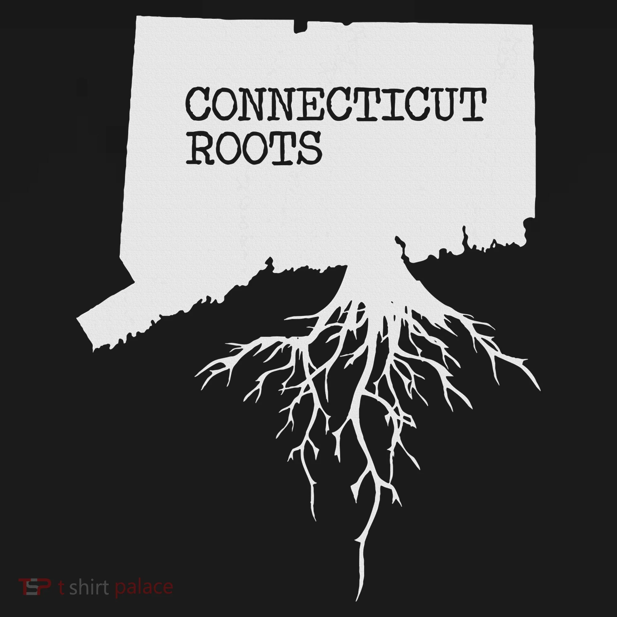 Connecticut Connecticut Roots State Women's T-Shirt