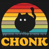 Chonk Cat Retro Vintage T-Shirt thumb 7