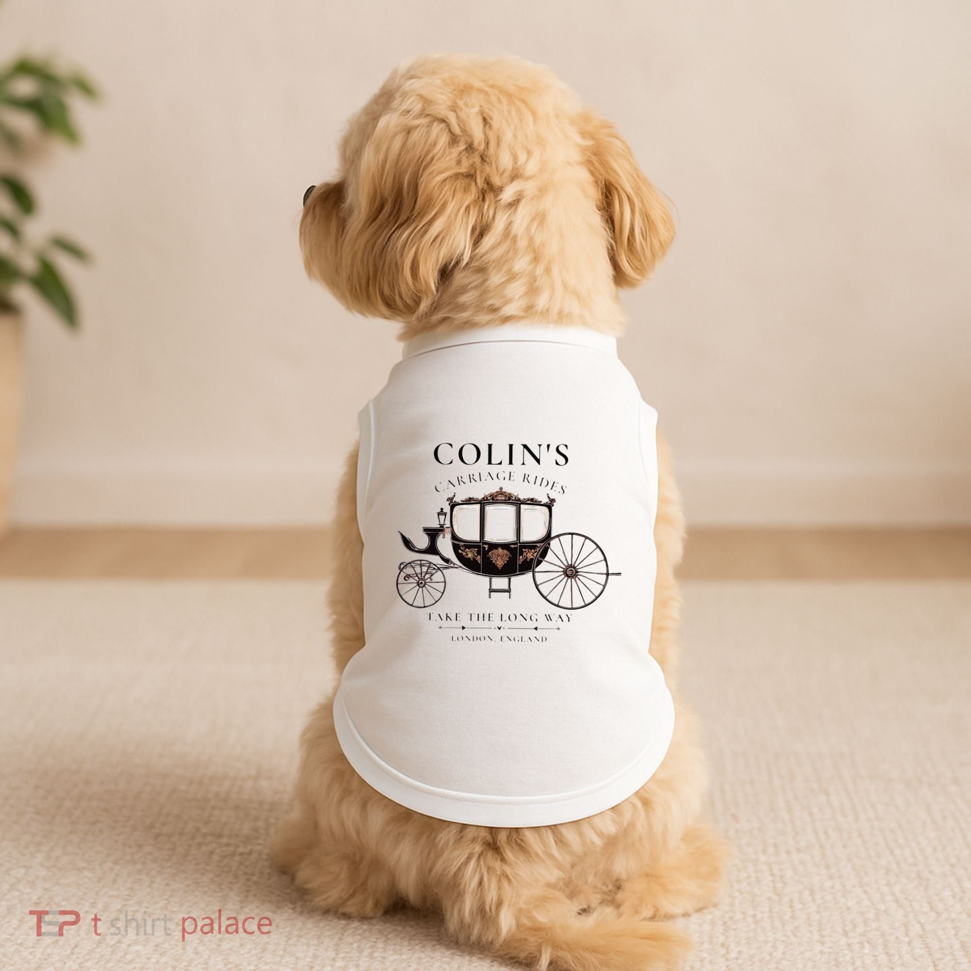 ColinS Carriage Rides Take The Long Way Doggie Tank