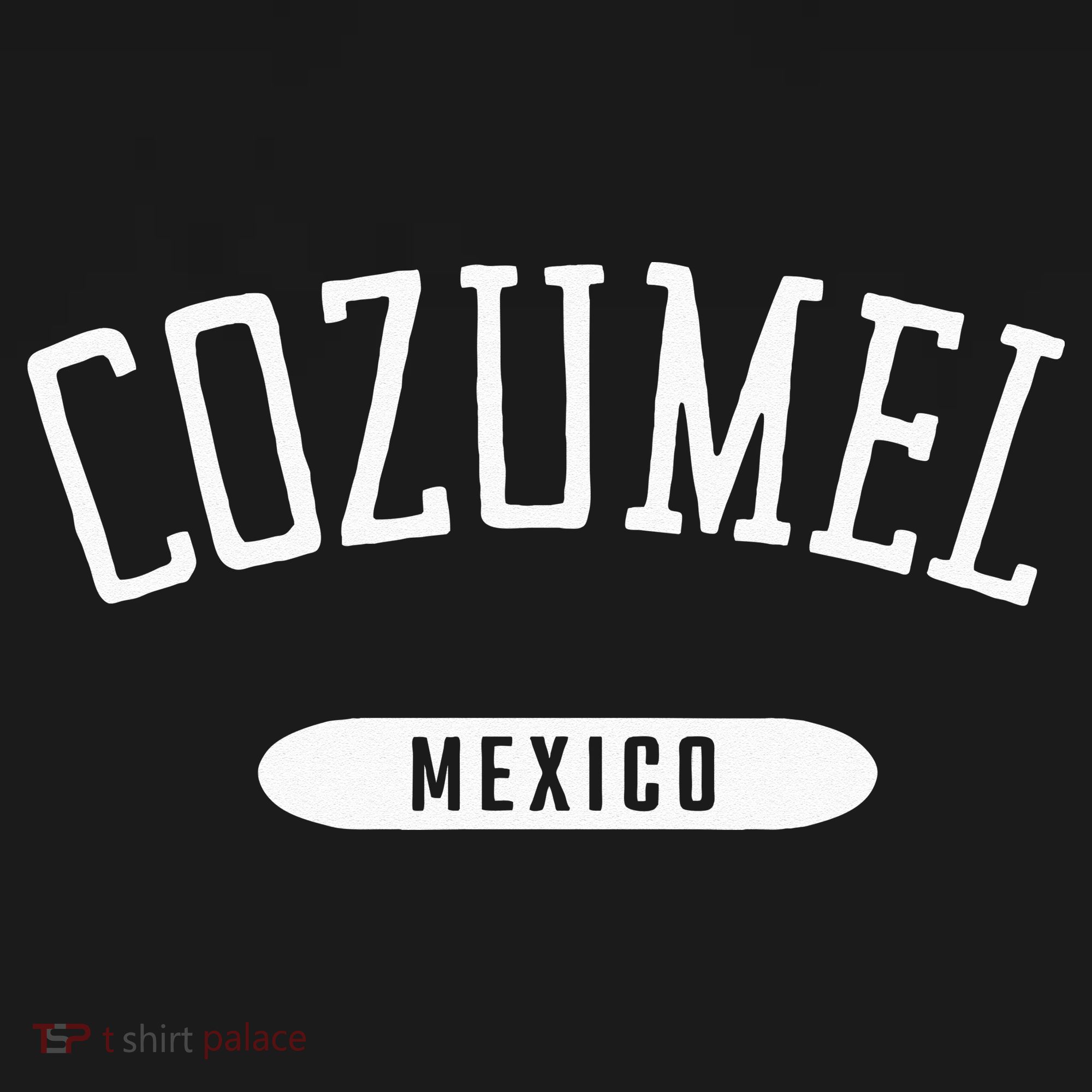 Cozumel Classic Style Cozumel Mexico USA-Made Doggie Bandana