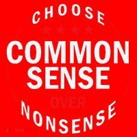 Choose Common Sense Over Nonsense Santa Hat thumb 1