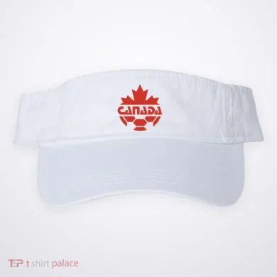 Visor