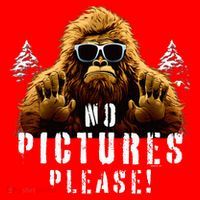 Cryptozoology Cryptid  Sasquatch Believe  Funny Bigfoot Santa Hat thumb 1