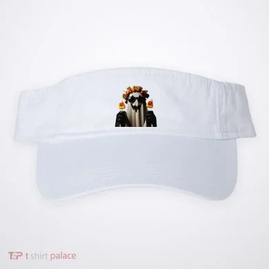 Visor