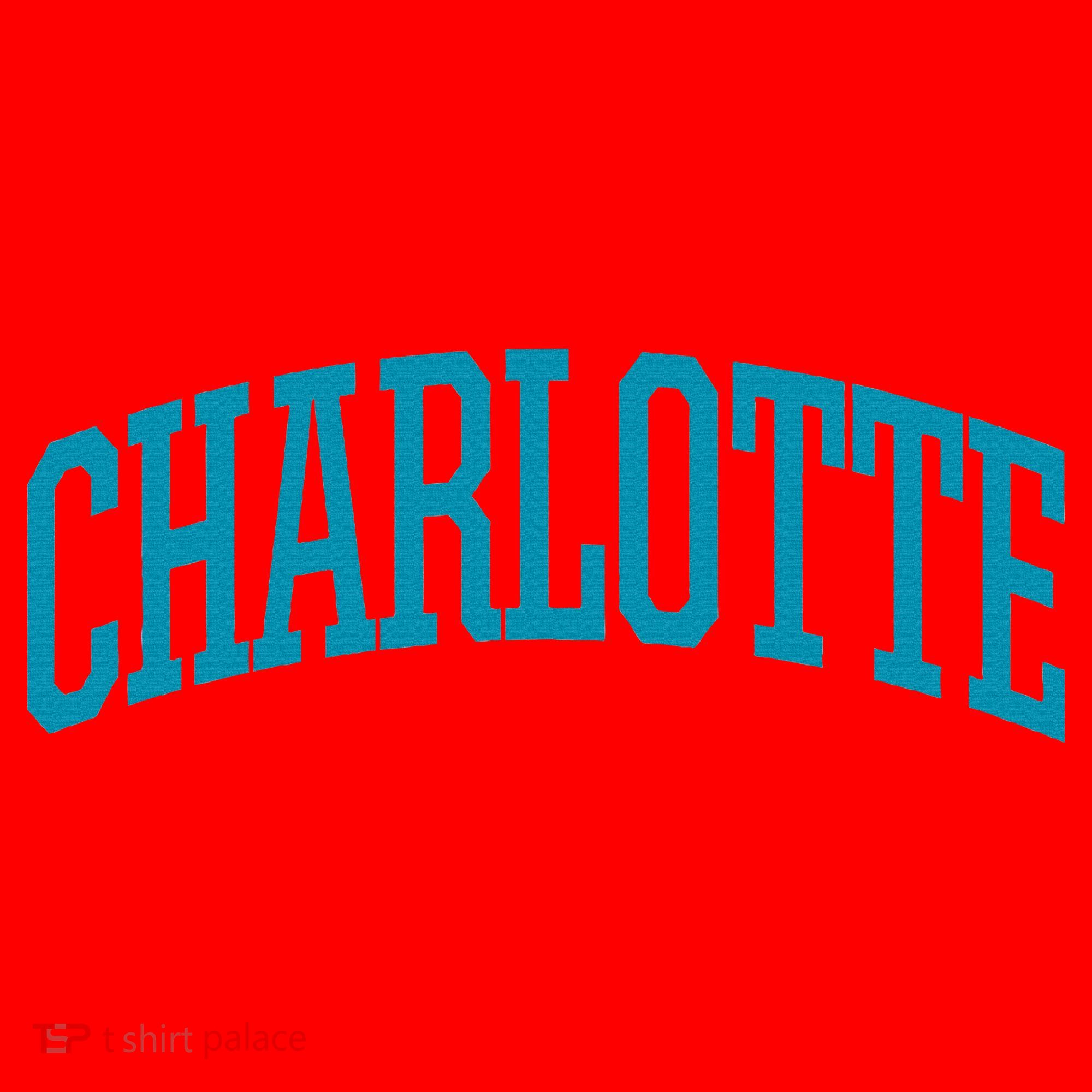 Charlotte Charlotte Sports Collegestyle Santa Hat
