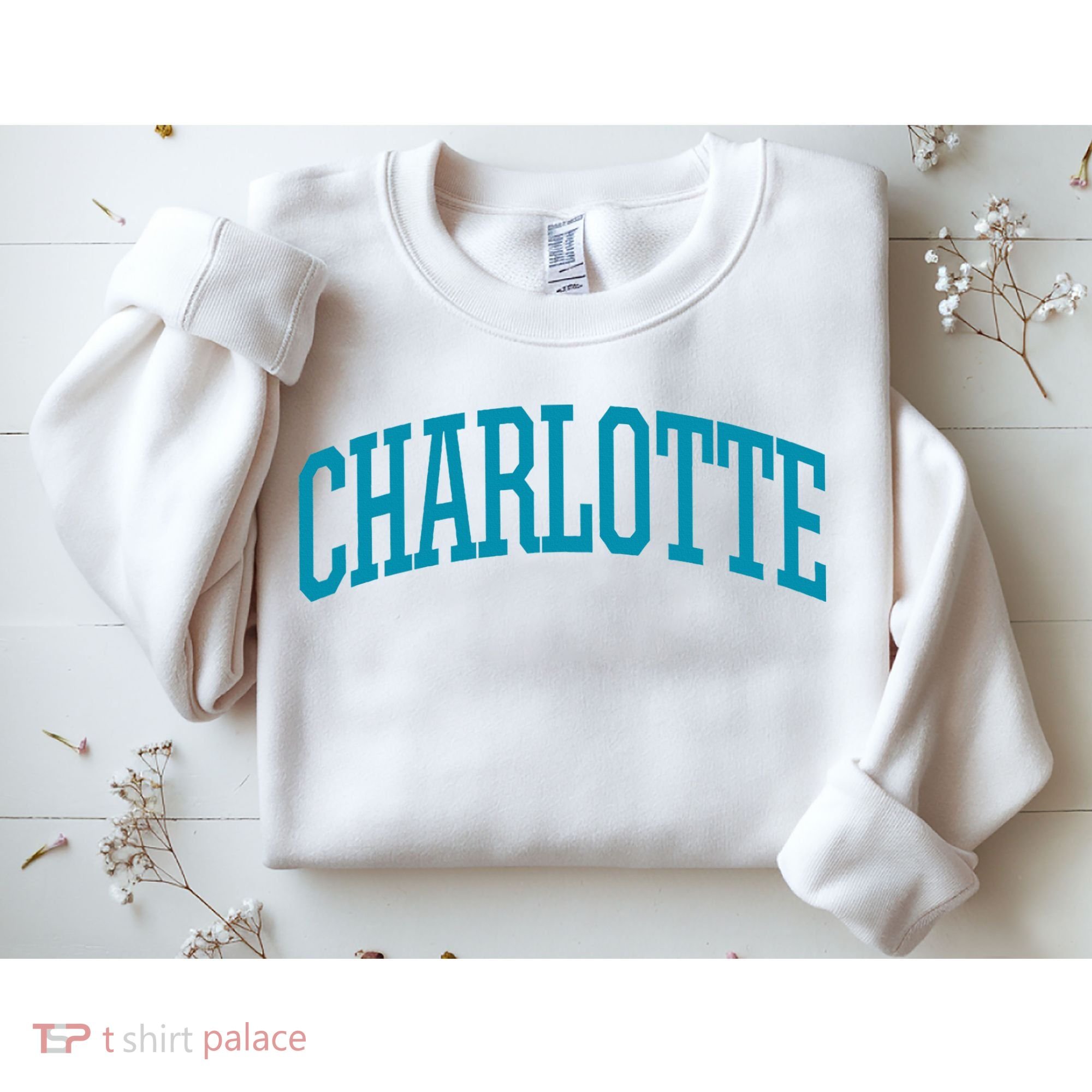 Charlotte Charlotte Sports Collegestyle Sweatshirt