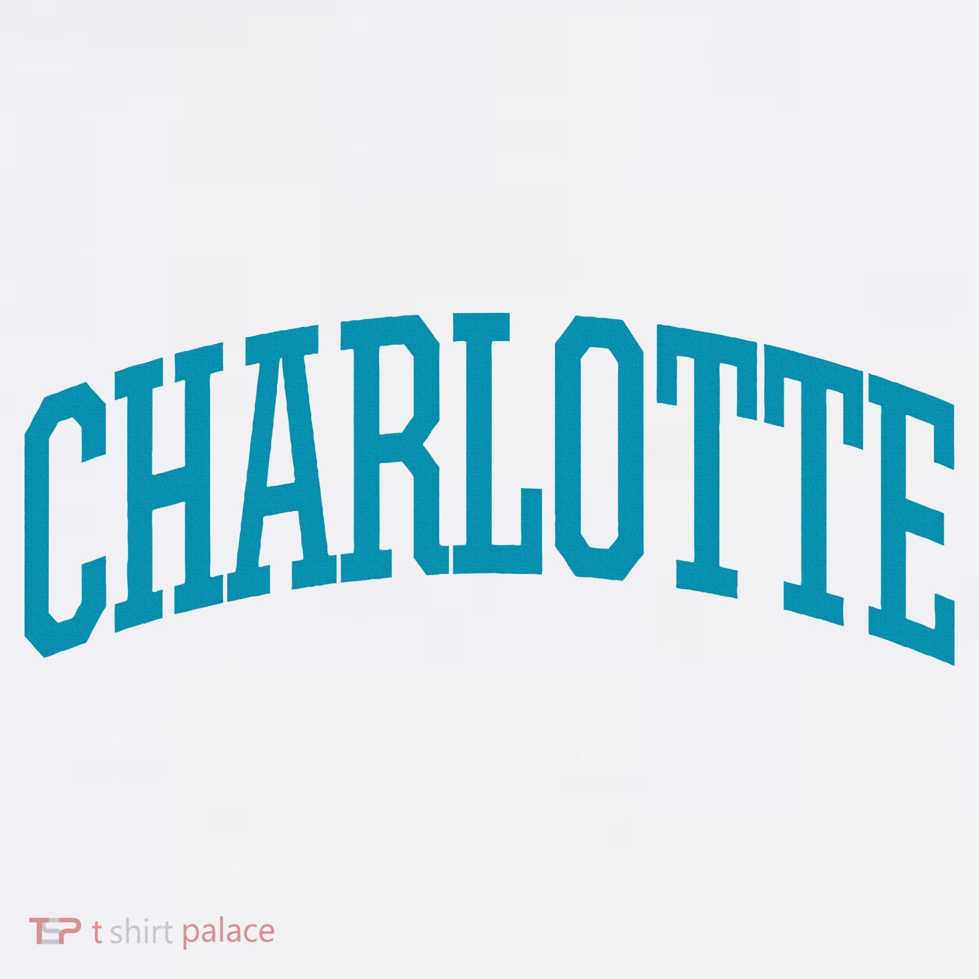 Charlotte Charlotte Sports Collegestyle T-Shirt