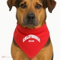 California Collegiate Style 1850 USA-Made Doggie Bandana thumb 1