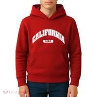 California Collegiate Style 1850 Kids Hoodie thumb 4