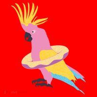 Cockatiel Cockatoo Summer Vacay Party Beach Vibes Funny Gift Santa Hat thumb 1