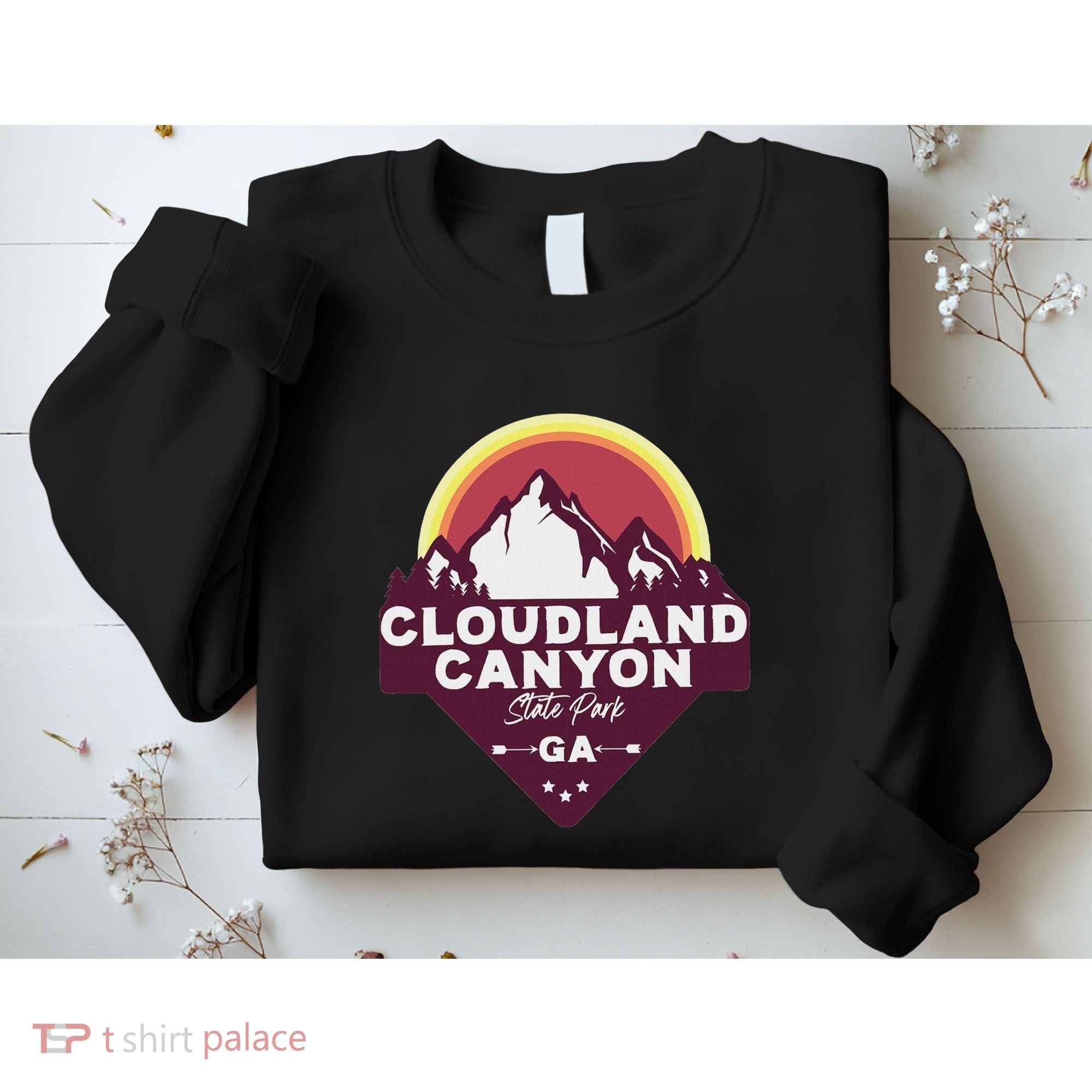 Cloudland Canyon State Park Georgia Ga Blue Ridge Mountains Sweatshirt