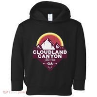 Cloudland Canyon State Park Georgia Ga Blue Ridge Mountains Toddler Hoodie thumb 0