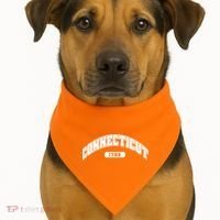 Connecticut Collegiate Style 1788 USA-Made Doggie Bandana thumb 1