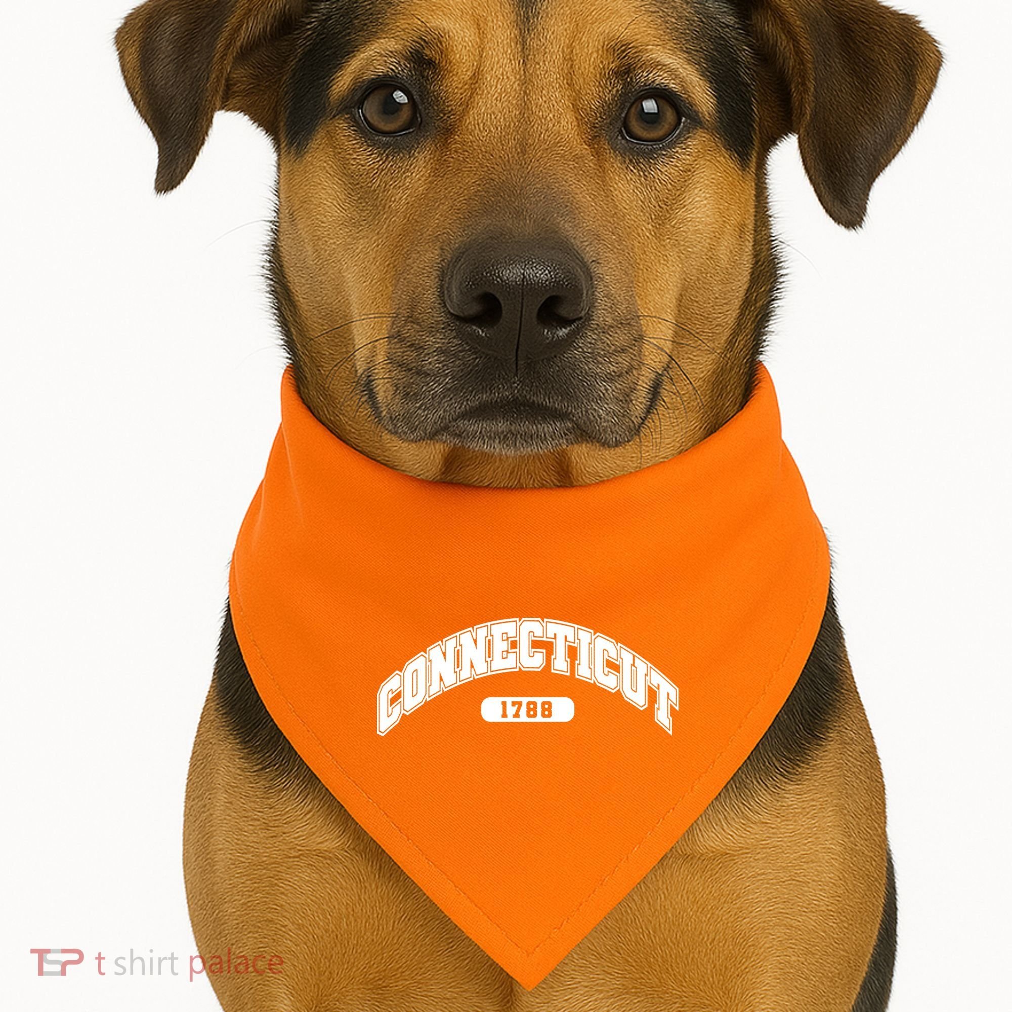 Connecticut Collegiate Style 1788 USA-Made Doggie Bandana