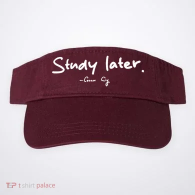 Visor