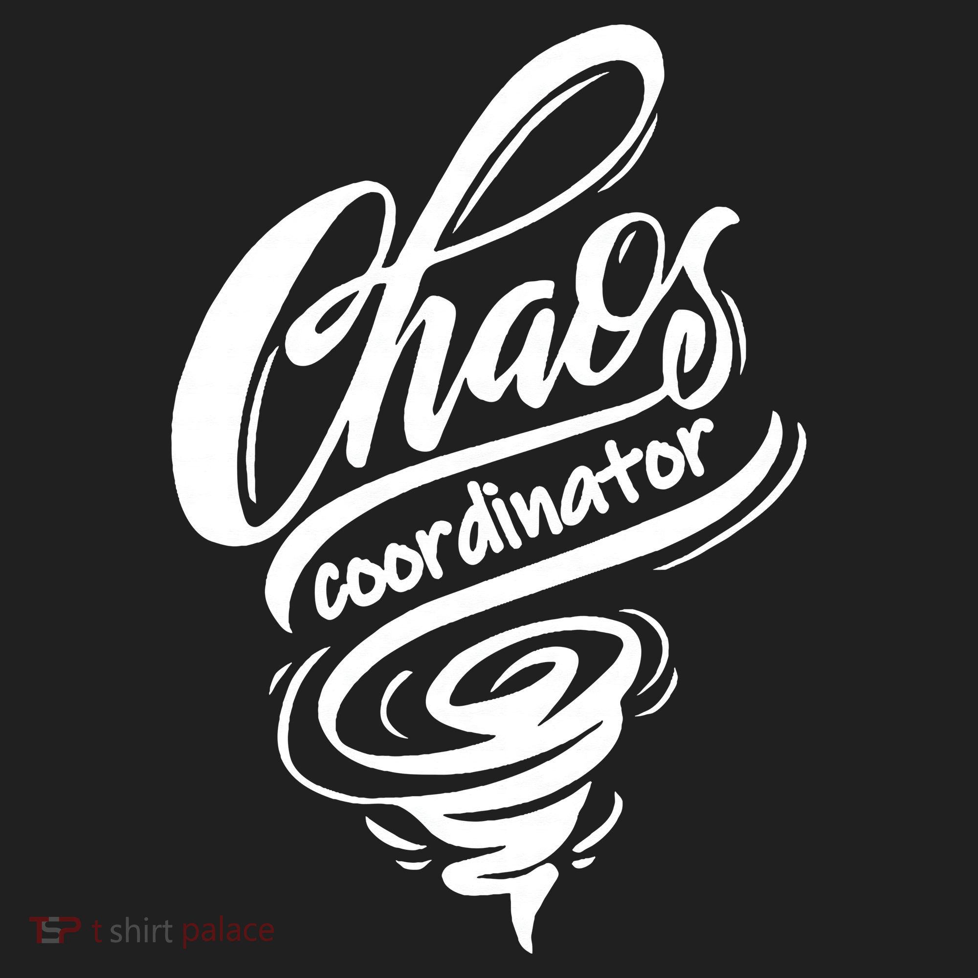 Chaos Coordinator Teacher Letter Tumbler