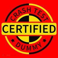 Certified Crash Test Dummy Funny Injury For Injured Friend Santa Hat thumb 1