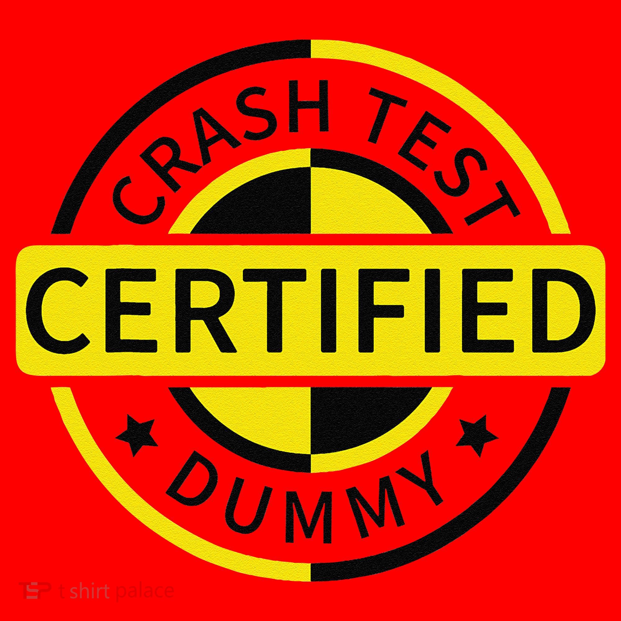 Certified Crash Test Dummy Funny Injury For Injured Friend Santa Hat