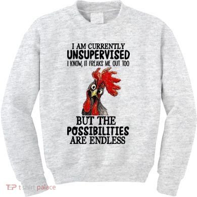 Chick Chicken Unsupervised But The Possibilities Are Endless Kids Sweatshirt