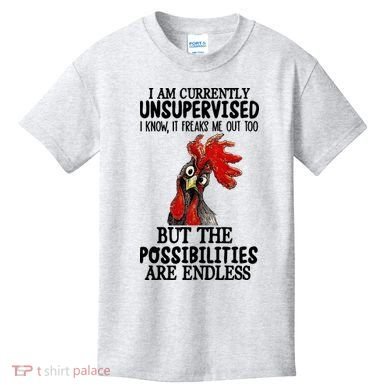 Chick Chicken Unsupervised But The Possibilities Are Endless Kids T-Shirt