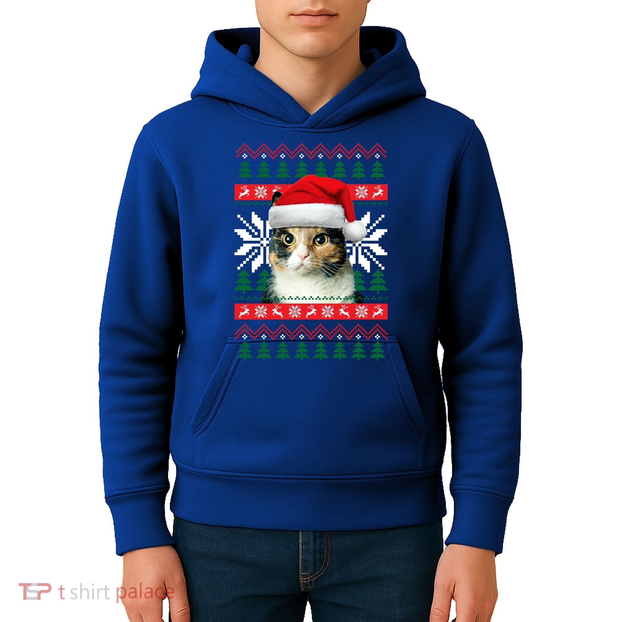 Calico Cat Ugly Christmas Sweater Style Santa Hat Kitty Mom Gift Kids Hoodie