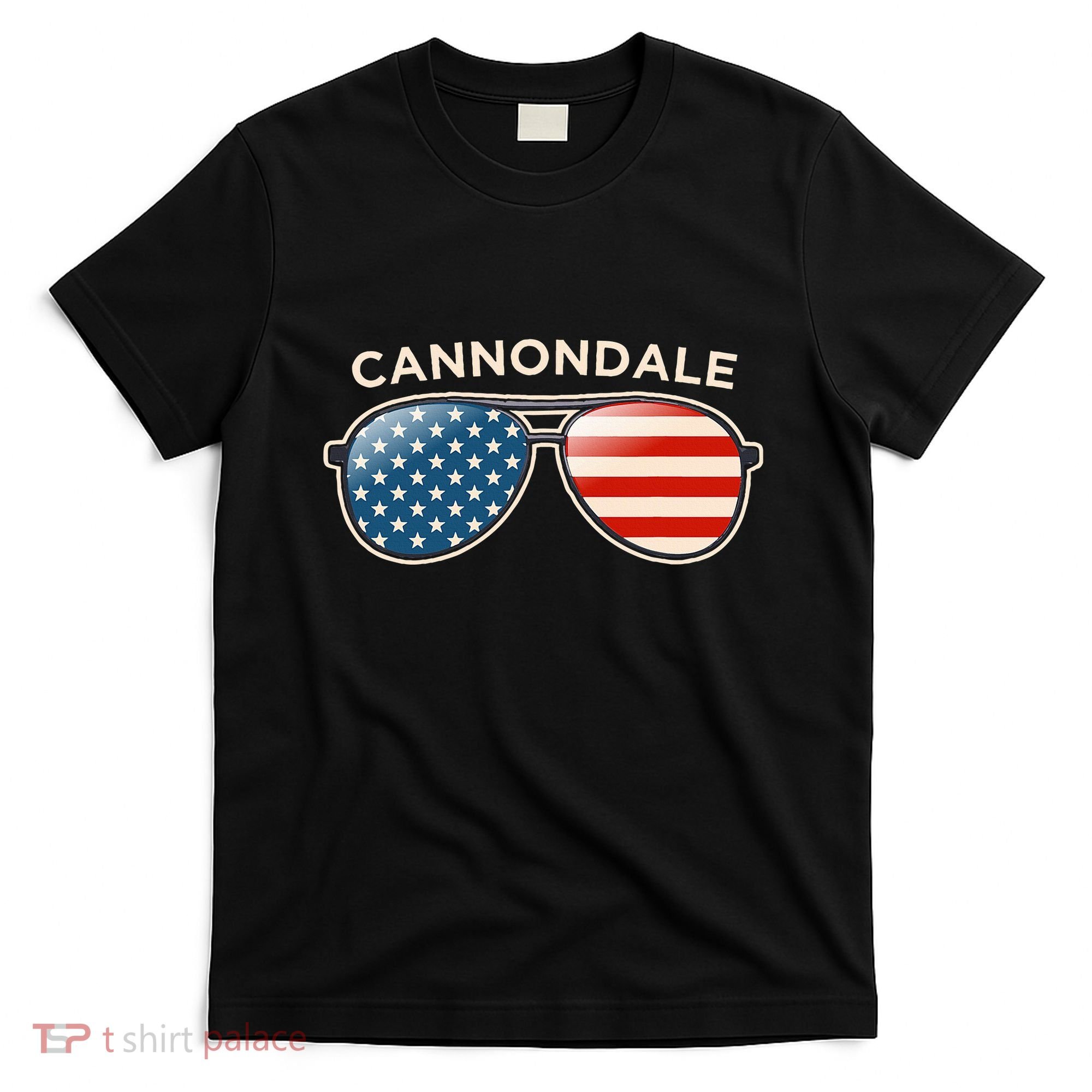 Cannondale Ct Vintage Us Flag Sunglasses T-Shirt