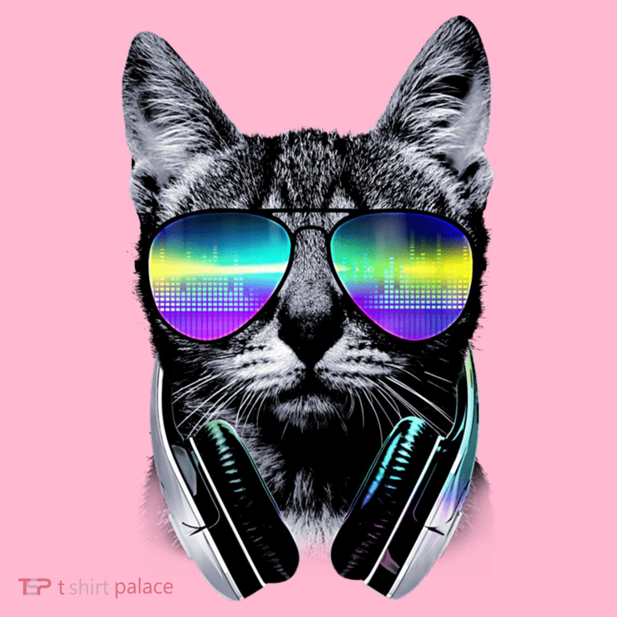 Cool Cat With Sunglasses DJ Retro Style Meme Coaster